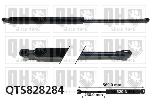 QTS828284