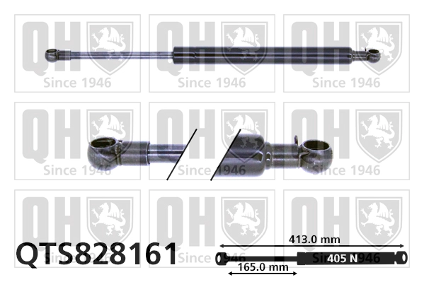 QTS828161