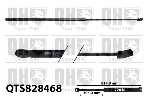 QTS828468