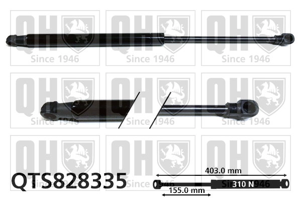 QTS828335