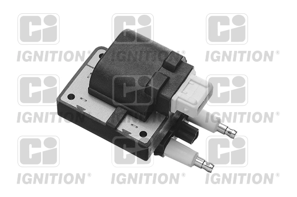 XIC8179