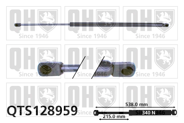QTS128959