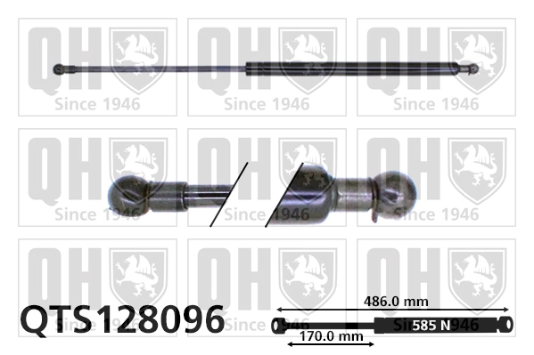 QTS128096