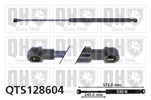 QTS128604
