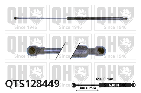 QTS128449