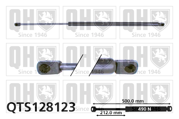 QTS128123
