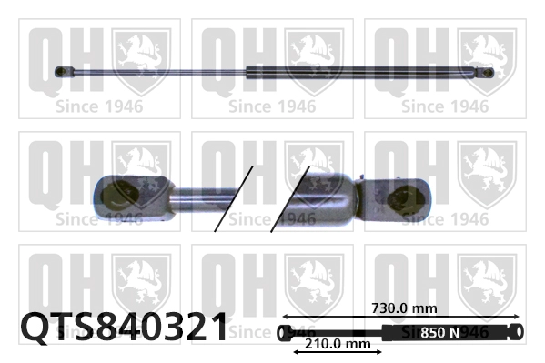 QTS840321