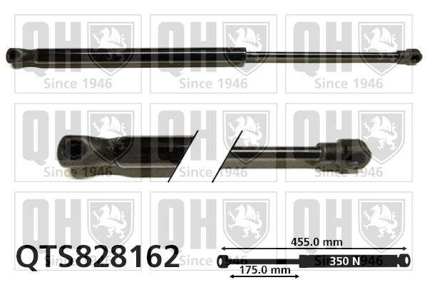 QTS828162