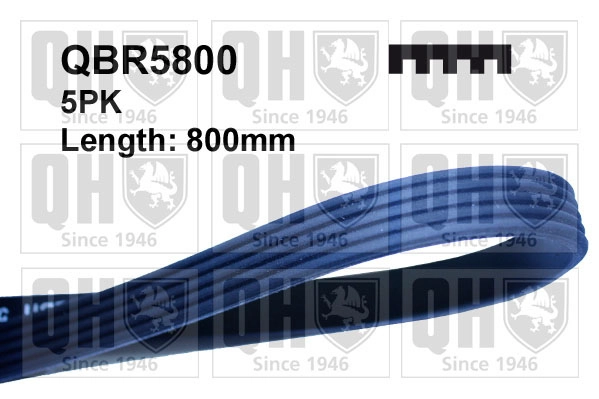 QBR5800