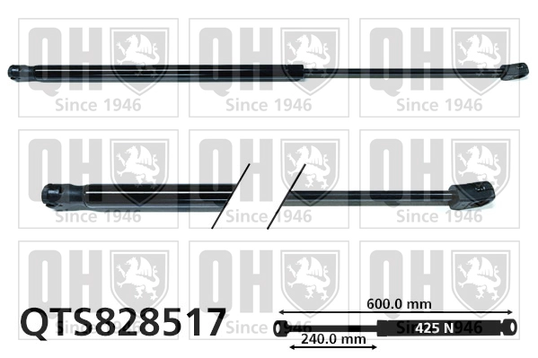 QTS828517