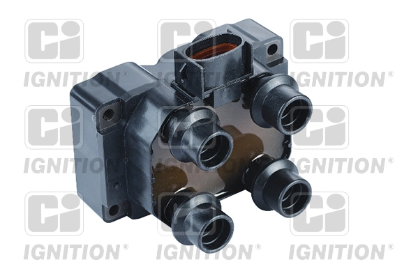 XIC8081