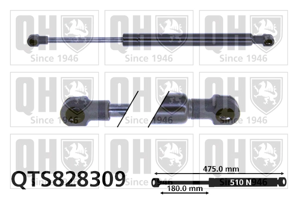 QTS828309