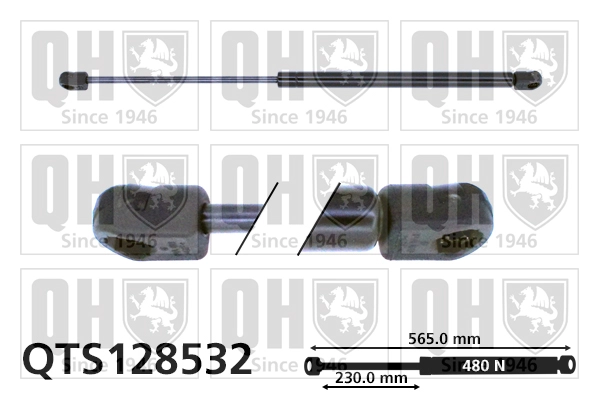 QTS128532