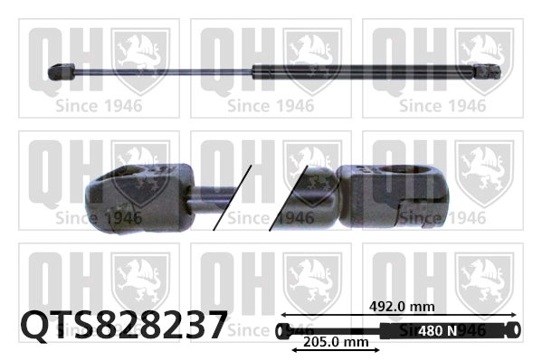 QTS828237
