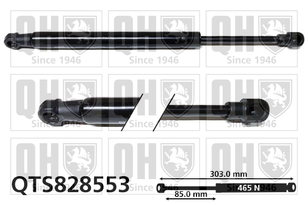 QTS828553