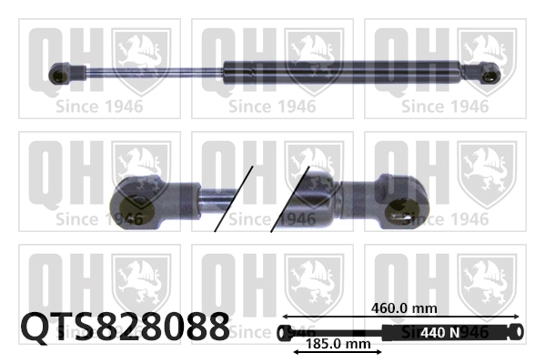QTS828088
