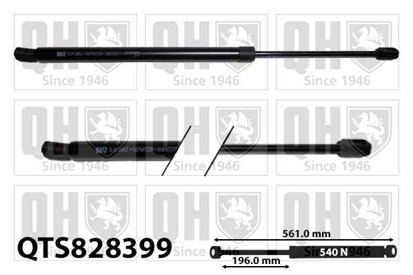 QTS828399