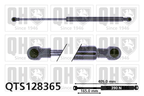 QTS128365