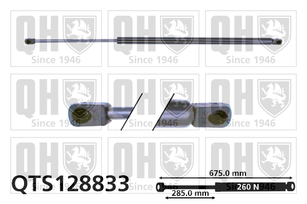 QTS128833