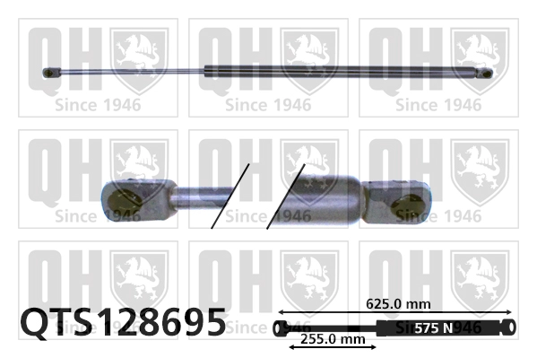 QTS128695
