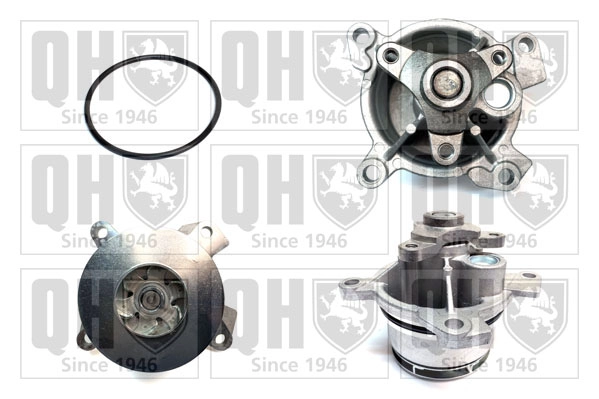QCP3980
