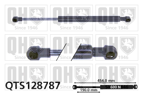 QTS128787