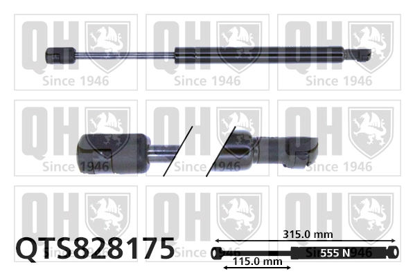 QTS828175