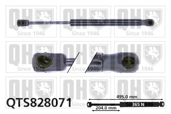 QTS828071