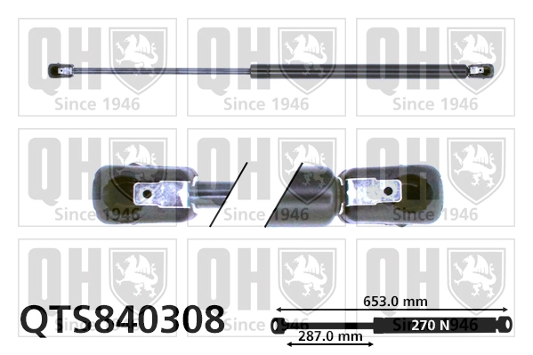 QTS840308