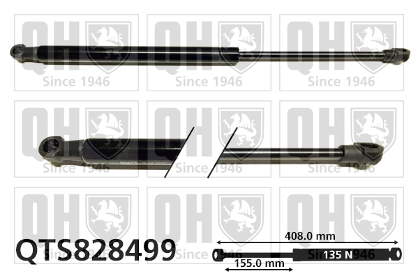 QTS828499