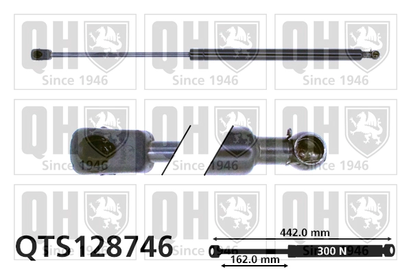 QTS128746