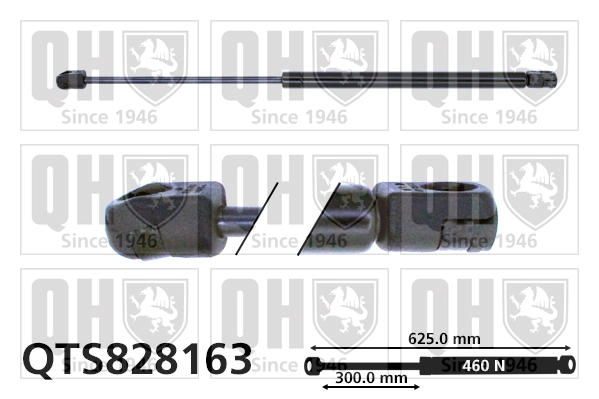 QTS828163