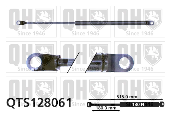 QTS128061