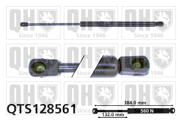QTS128561