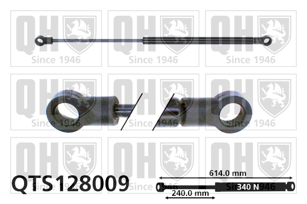 QTS128009