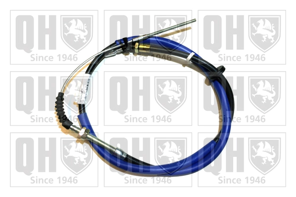 QCC1293