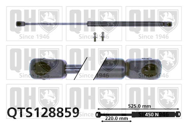 QTS128859