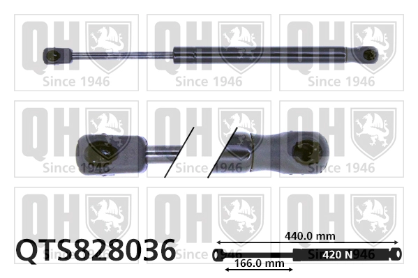 QTS828036