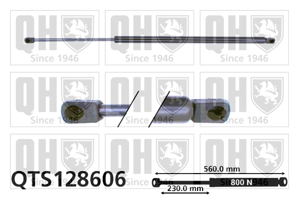 QTS128606