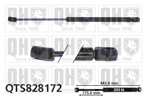 QTS828172