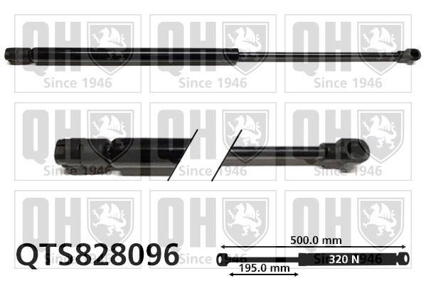 QTS828096