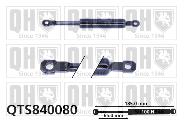 QTS840080