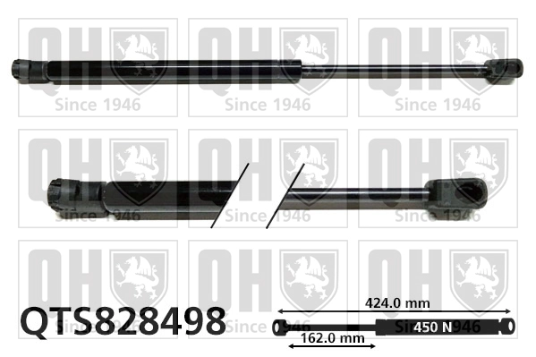 QTS828498