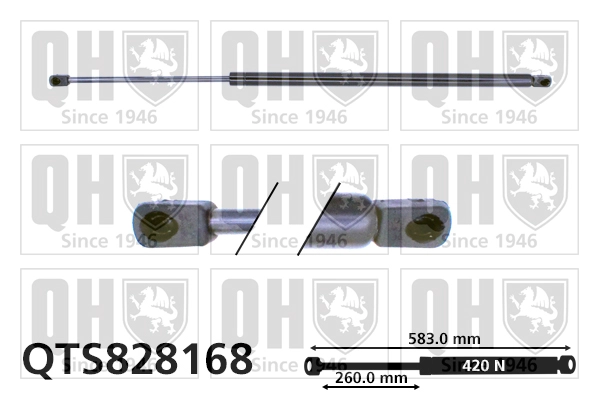 QTS828168