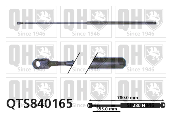 QTS840165