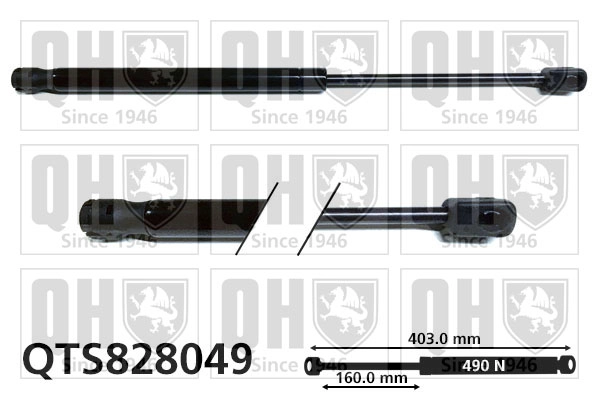 QTS828049