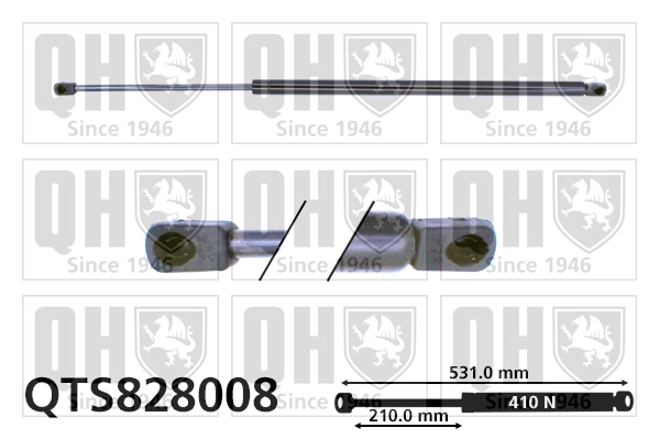 QTS828008