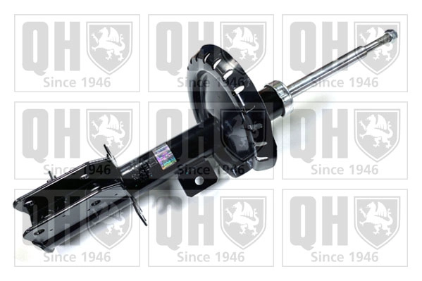 QAG181519