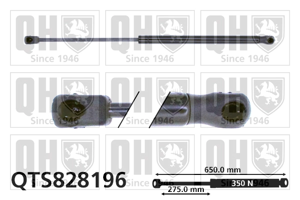 QTS828196
