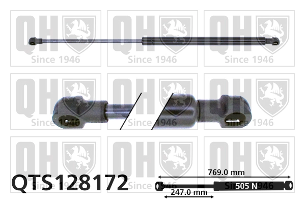 QTS128172